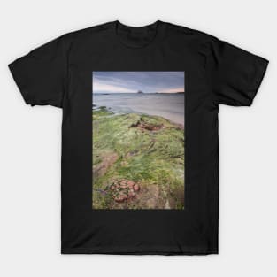 Milsey Bay T-Shirt